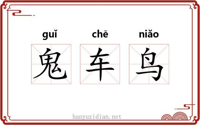 鬼车鸟 鬼车鸟