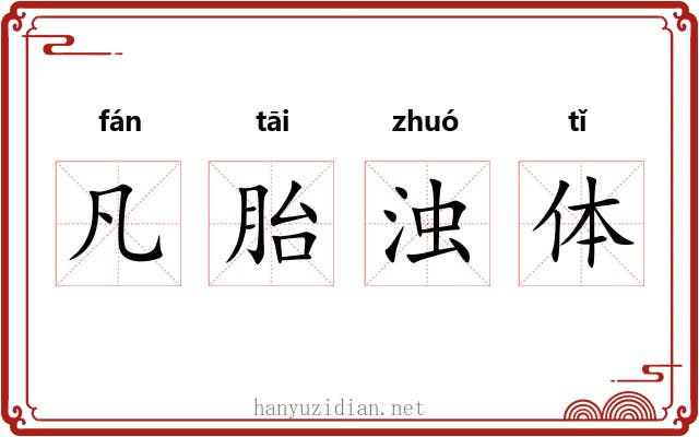 凡胎浊体