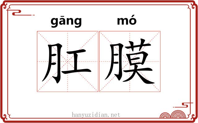 肛膜