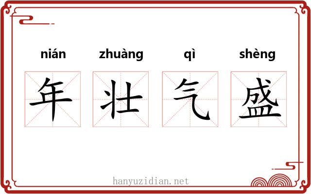 年壮气盛