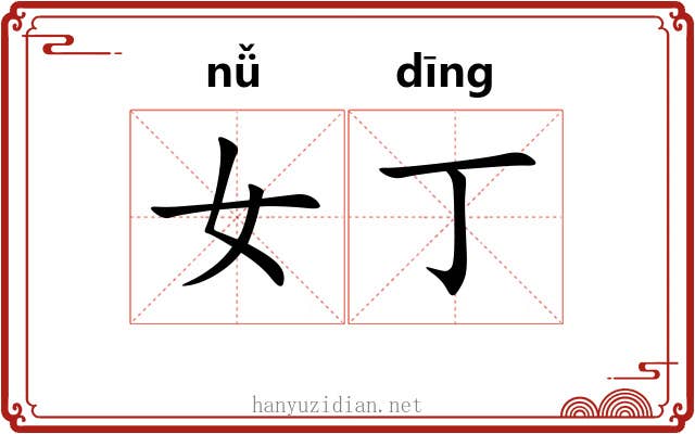 女丁