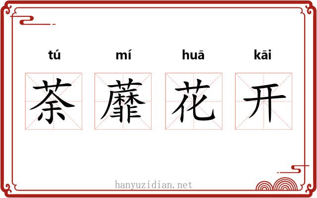 荼蘼花开