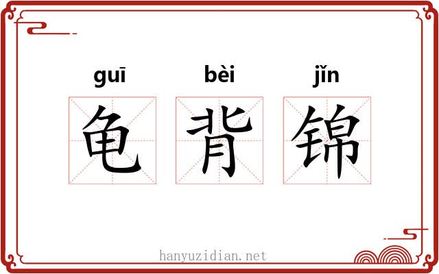 龟背锦 龟背锦