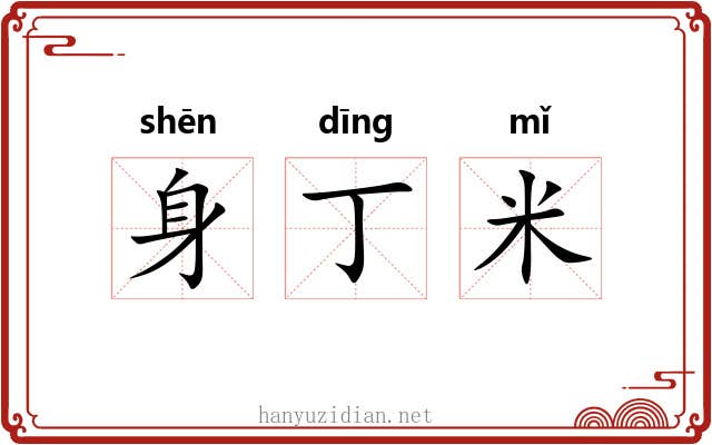 身丁米