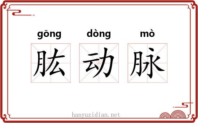 肱动脉