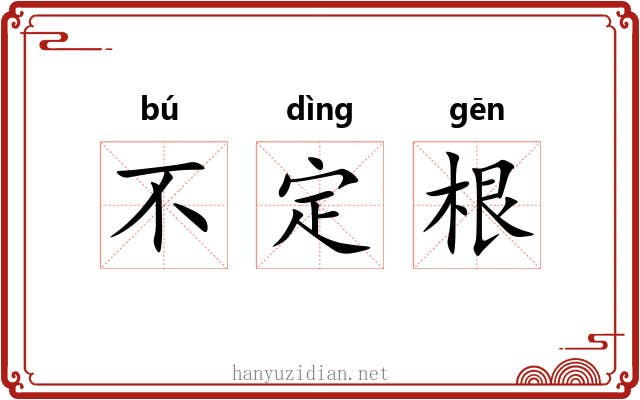不定根
