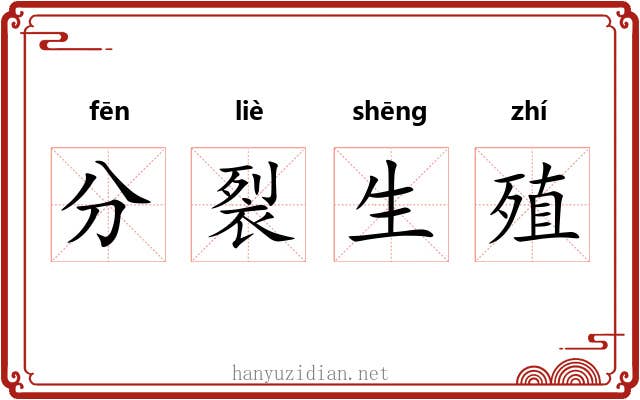 分裂生殖