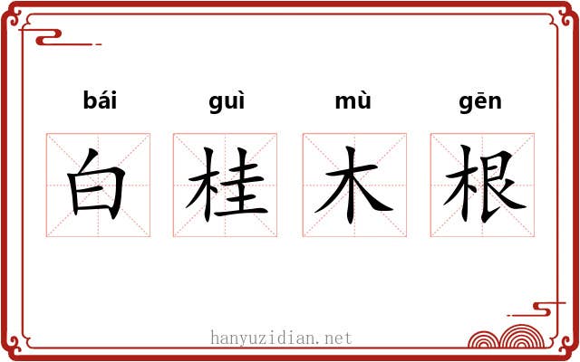 白桂木根