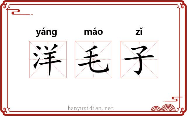 洋毛子 洋毛子