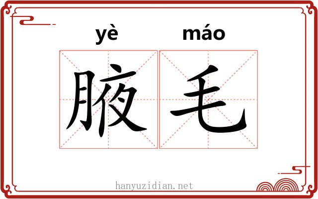 腋毛