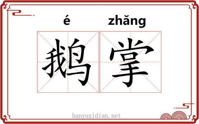 鹅掌