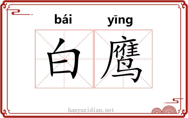 白鹰