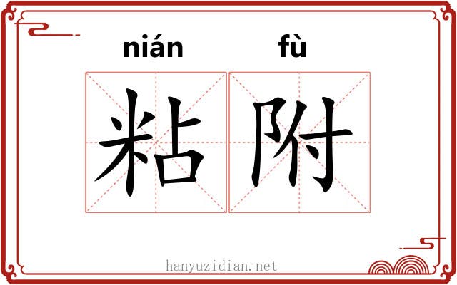 粘附 粘附