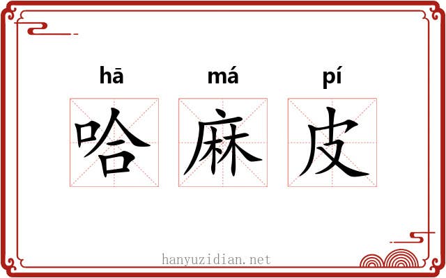哈麻皮