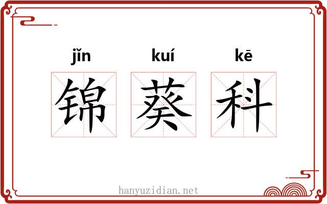 锦葵科