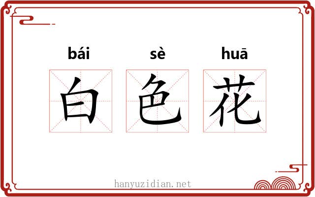 白色花 白色花