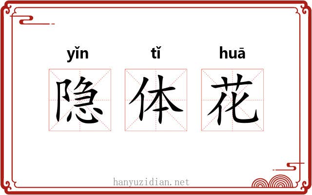 隐体花 隐体花