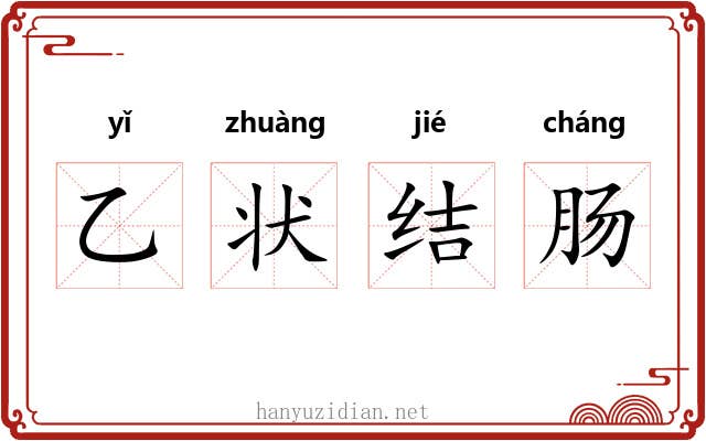 乙状结肠