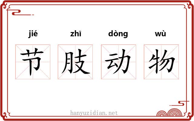节肢动物 节肢动物