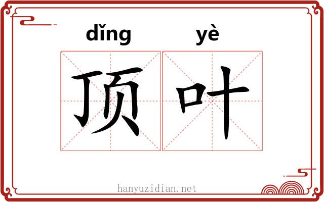 顶叶