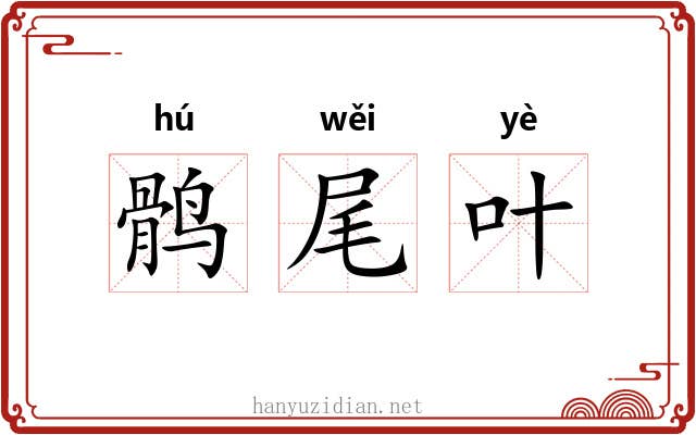 鹘尾叶