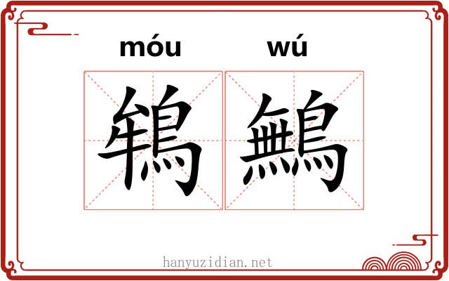 鴾鷡