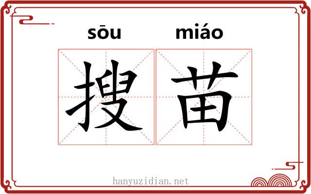 搜苗 搜苗