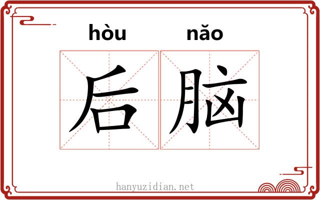 后脑 后脑