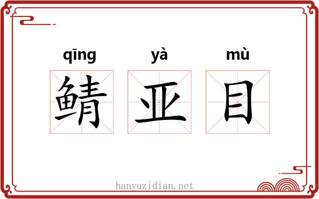 鲭亚目