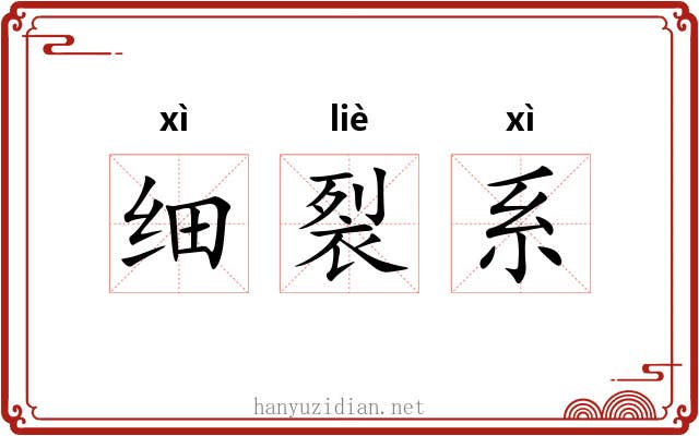 细裂系 细裂系