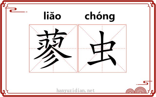 蓼虫