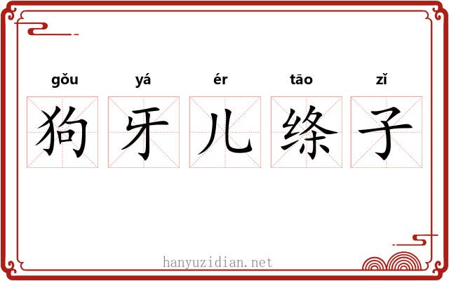 狗牙儿绦子 狗牙儿绦子