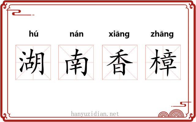 湖南香樟
