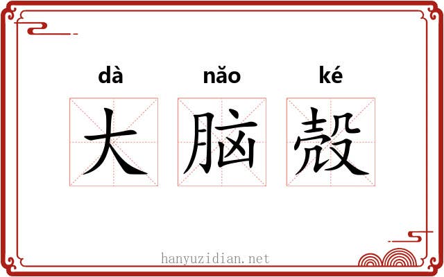 大脑殻