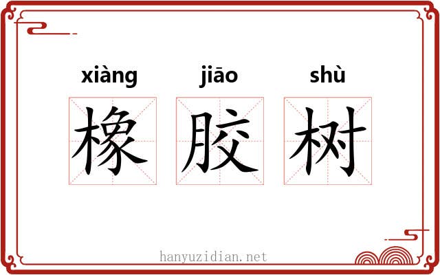 橡胶树 橡胶树