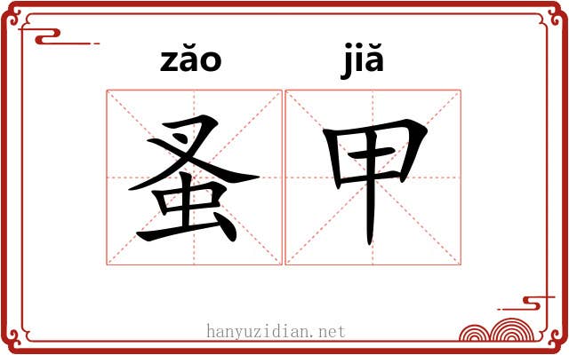 蚤甲