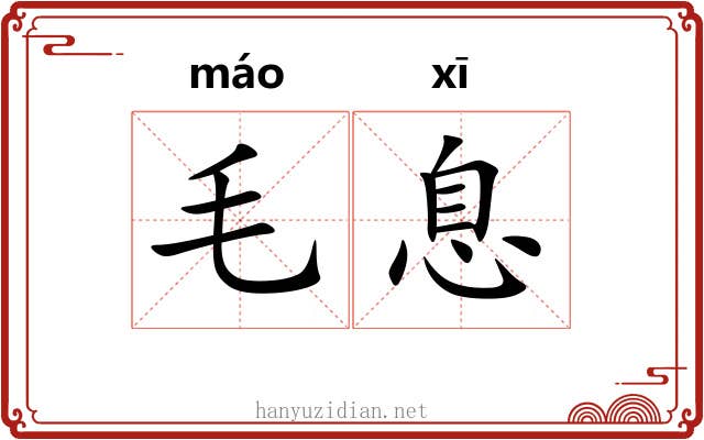 毛息 毛息