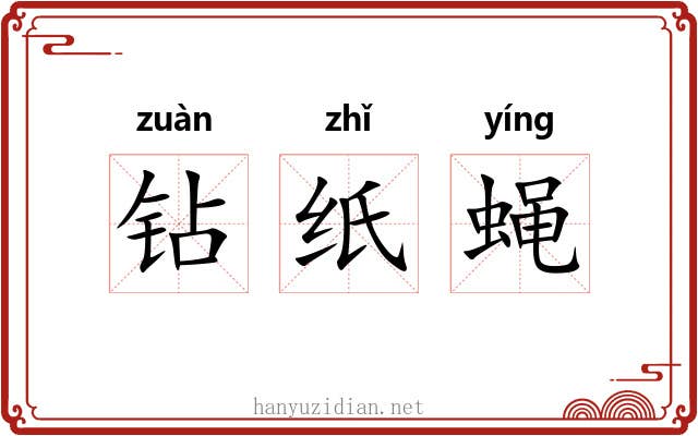 钻纸蝇