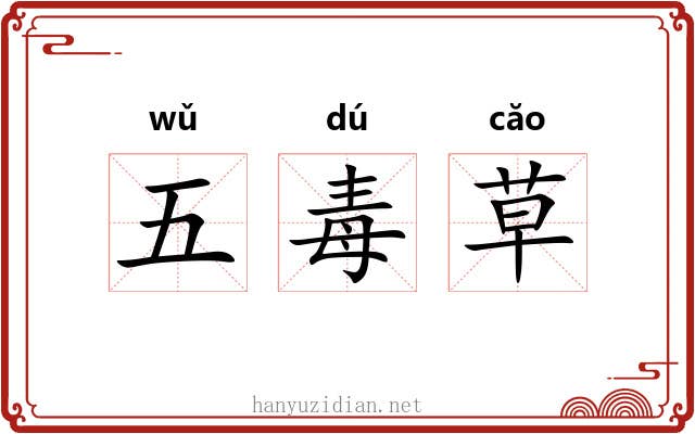五毒草 五毒草