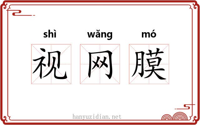 视网膜