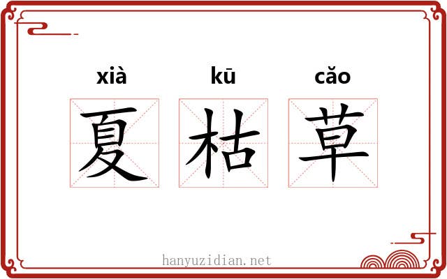 夏枯草 夏枯草