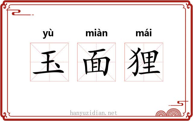 玉面狸 玉面狸
