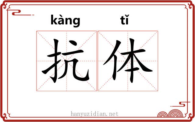 抗体