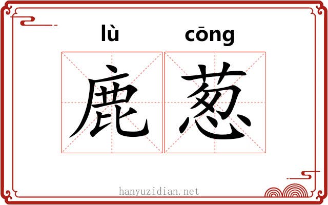 鹿葱 鹿葱