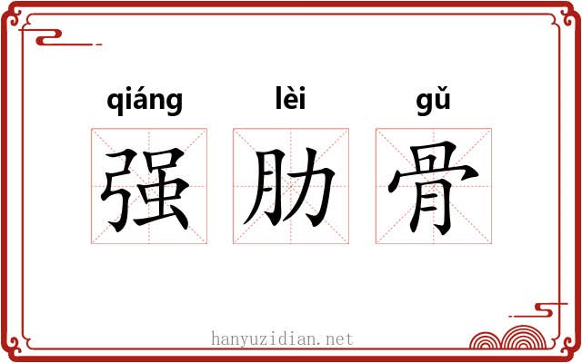 强肋骨