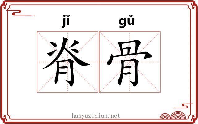 脊骨 脊骨