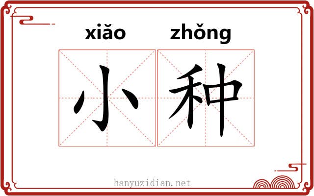 小种 小种