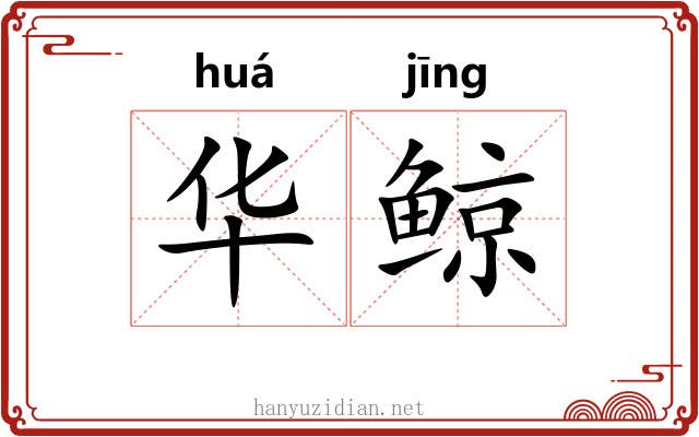 华鲸 华鲸