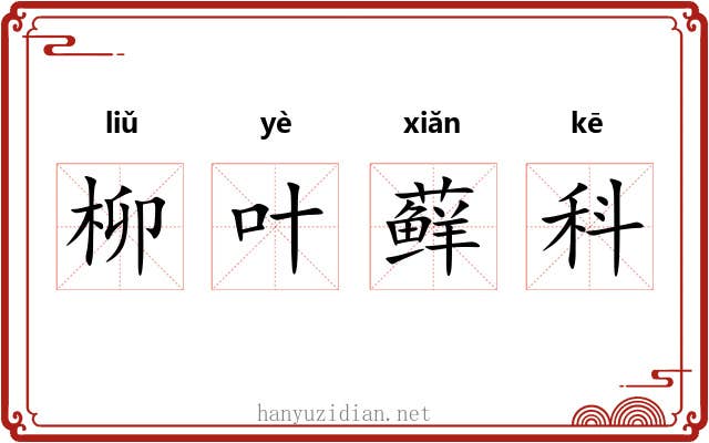 柳叶藓科 柳叶藓科