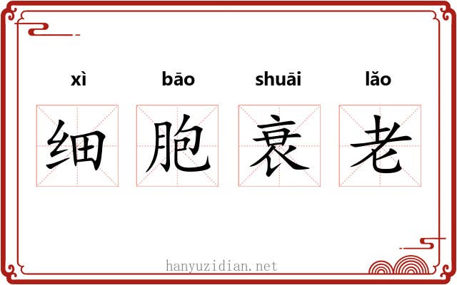 细胞衰老 细胞衰老